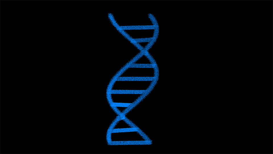 DNA Structure 3D