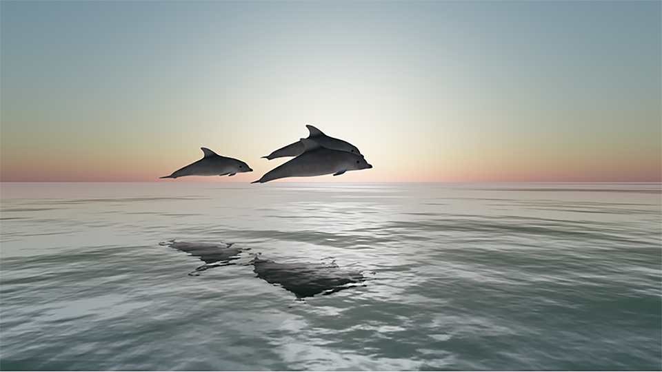 Dolphins at dawn